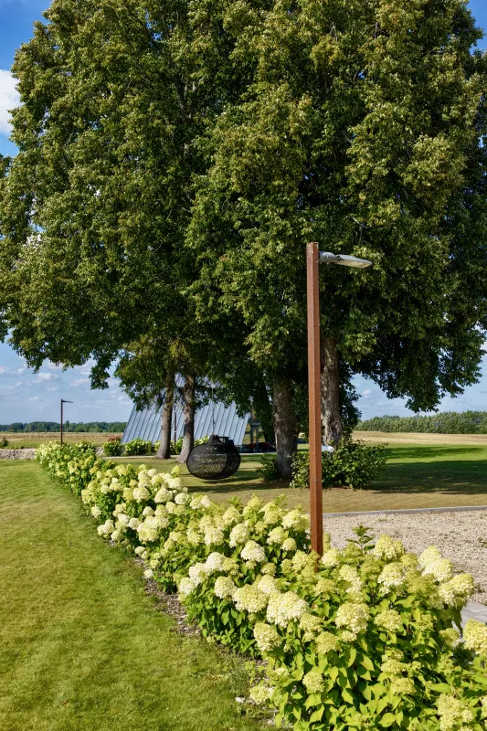 The hydrangea border and swing on the grounds